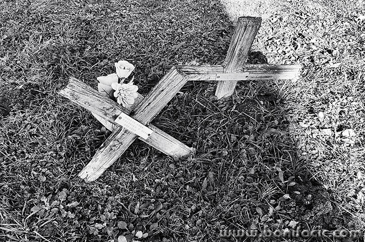 grobljecerovnik11mal