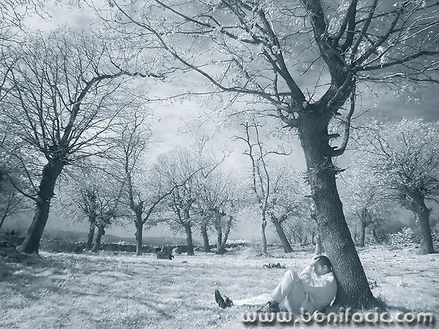 bw___Rest___Kampelje, Croatia.