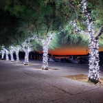 adventpoidgusternu1mal