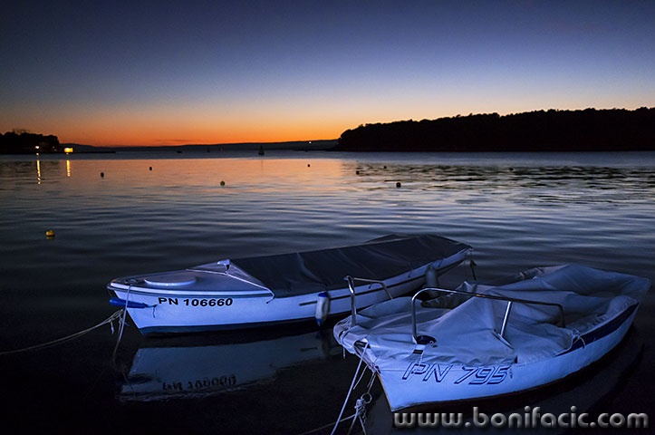 podgusternukajicizalaz1mal