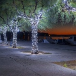 podgusternuadvent2mal