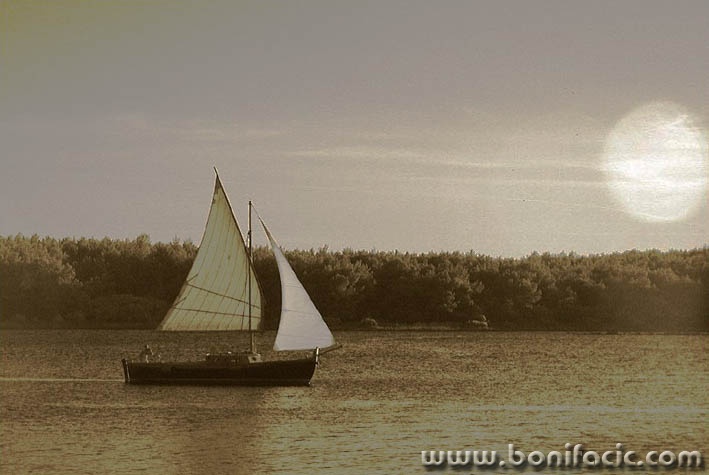 bw___Sailing___Punat, Croatia.