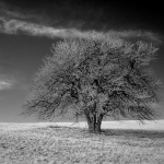 bw___Shock___Jezerane, Croatia.