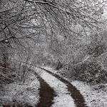 bw___Silvan Way___Modrus, Croatia.