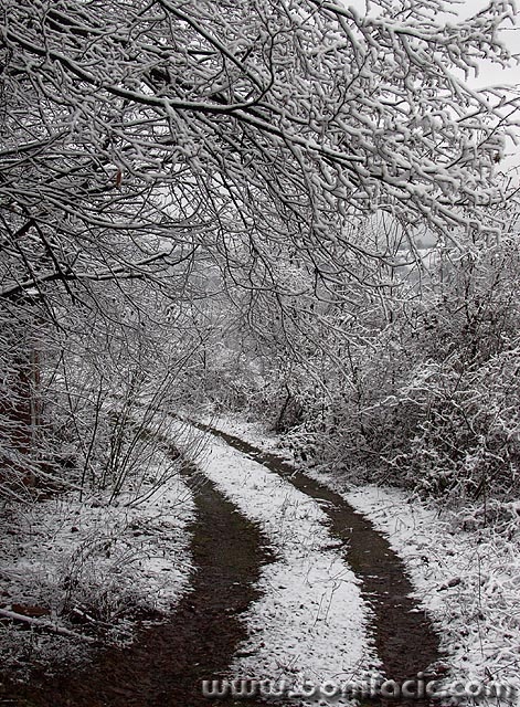 bw___Silvan Way___Modrus, Croatia.