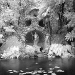 bw___Skull___Trsteno, Crtoatia.