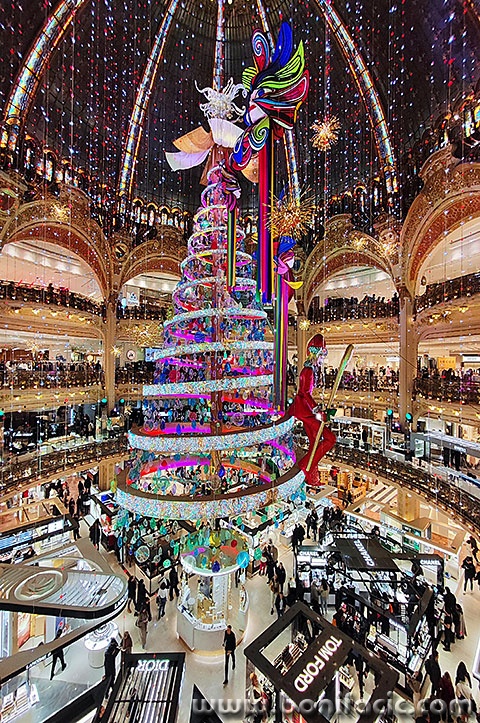 pariz51mal