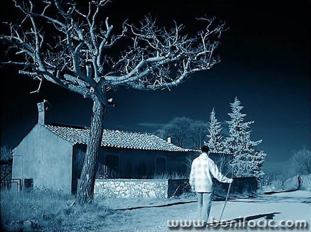 bw___Vagabond___Kras, Croatia.