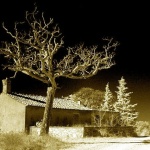 bw___Solitude___Kras, Croatia.
