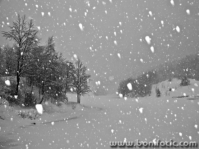 bw___Snow___Mrzla Vodica, Croatia.