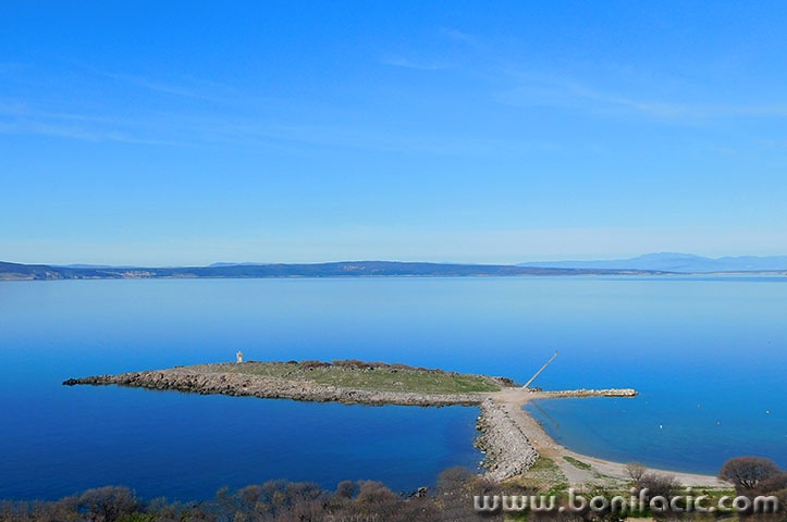 klenovicasvjetionik1mal