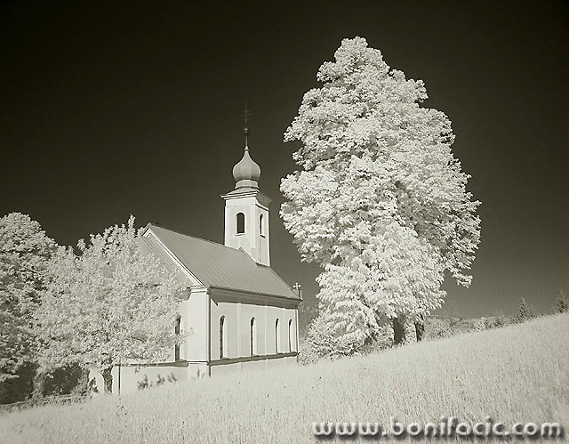 bw___Summer Frost___Dokmanovici, Croatia.