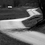 carevopolje1BWmal