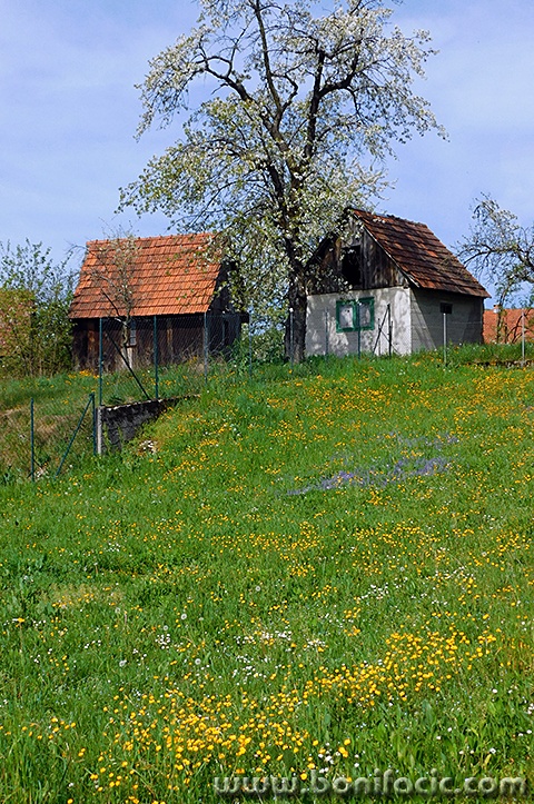 zegari4mal