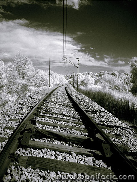 bw___Trail___Luke, Croatia.