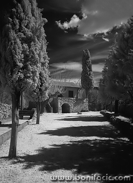 bw___Umbrageous___Vrbnik, Croatia.