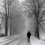 bw___Wandering___Bjelolasica, Croatia.