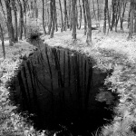 bw___Wellspring In The Wood___Cerovnik, Croatia.