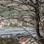 stablopšozar2mal