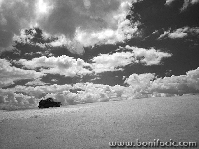 bw___White Safari___Brinje, Croatia.