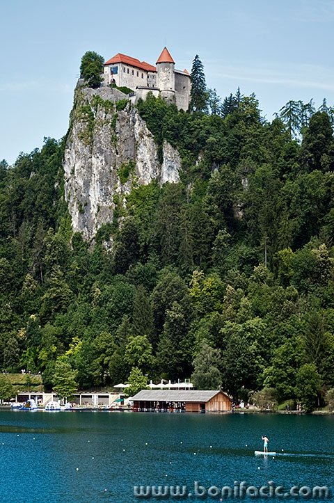 bled31mal