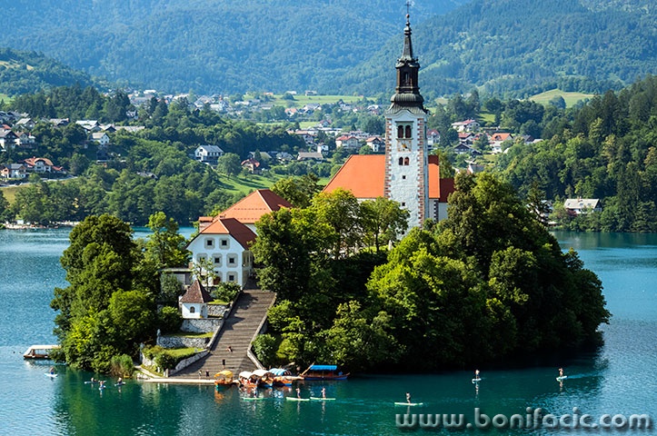 bled50mal