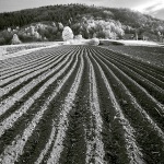 bw___Wrinkled___Sabljaci, Croatia.