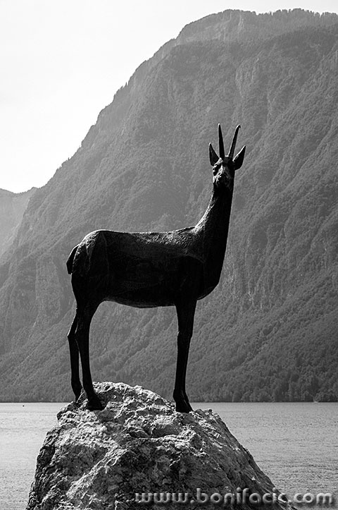 bohinj94bwmal