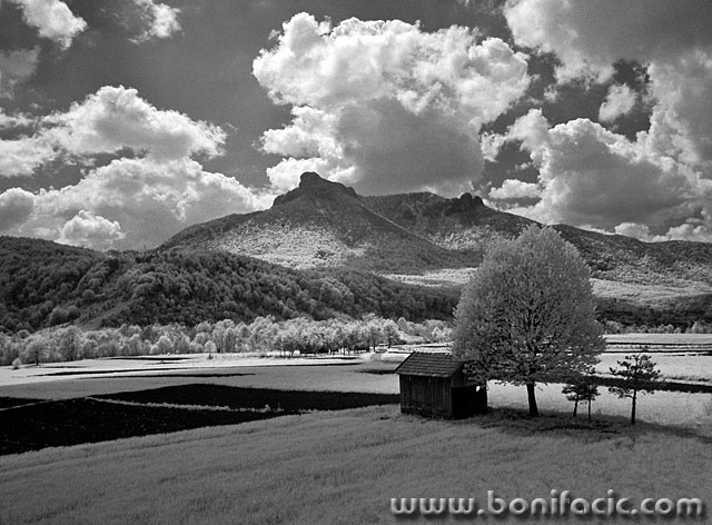 bw___Witch Dance___Ogulin, Croatia.