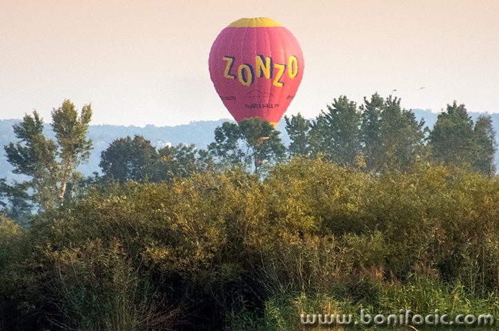 festivalbalona75modmal