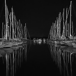 marinajarboliodraznocbw1mal