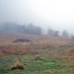 gornjejelenjemaglalisica1mal