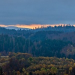 mezlavodicajesen30mal