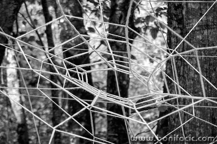 prim28bwmal