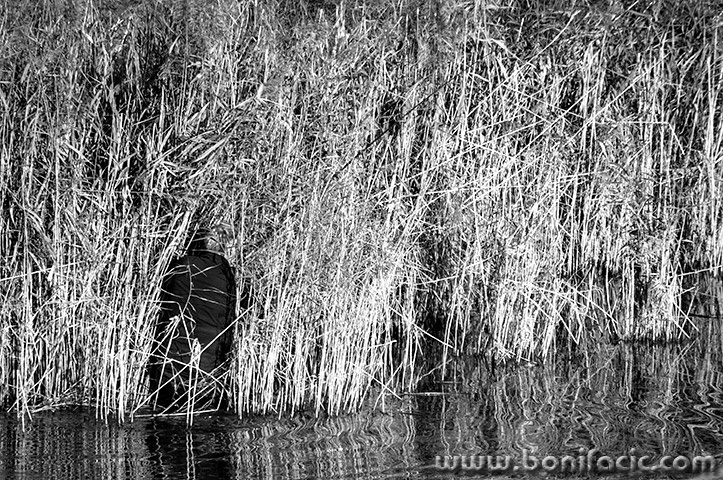 sabljacisaspecanje2mal