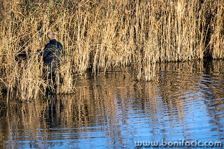 sabljacisaspecanje1mal