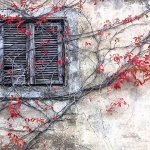 brsljanponestrapetrinj3mal