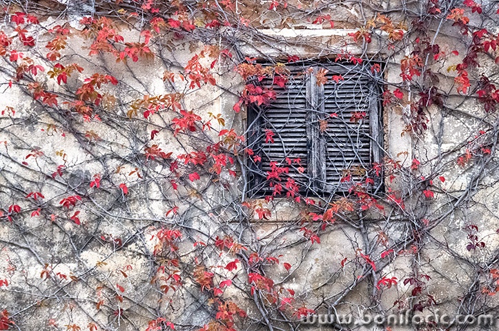 brsljanponestrapetrinj6mal