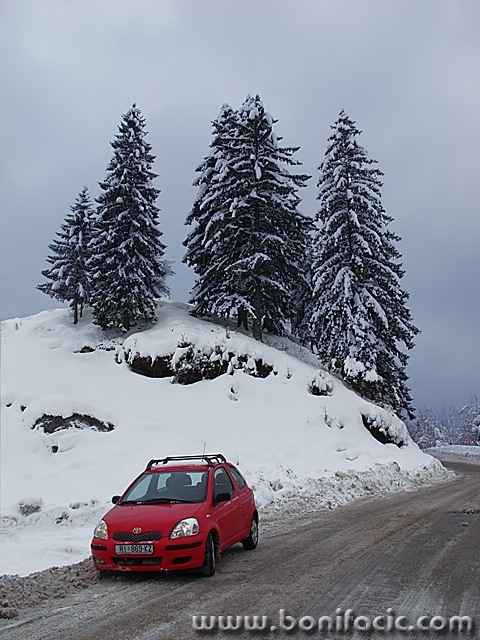 travel___Below Pines___Vrbovsko, Croatia.