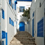 travel___Blue And White Street___Sidi Bou Said, Tunisia.