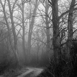 jezeronjivice35bwmal