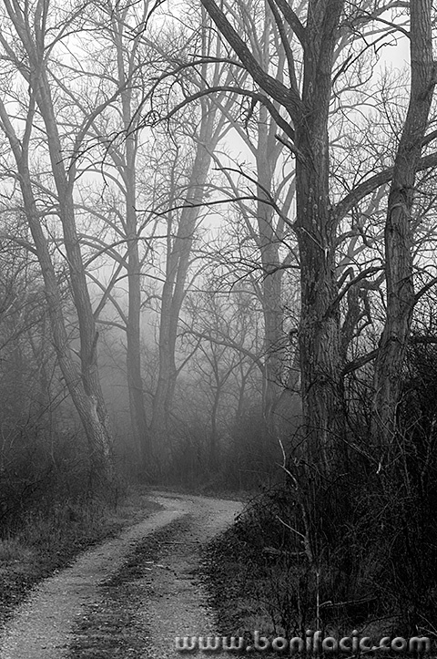 jezeronjivice35bwmal