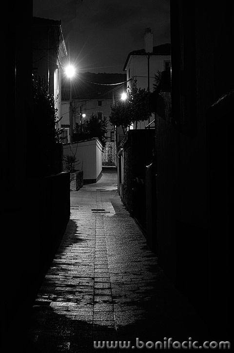 punatulicanocna2bwmal