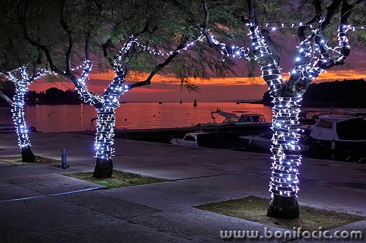 podgusternuadvzal1mal