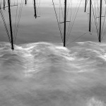 marinajarbolioblacimore1BWmal