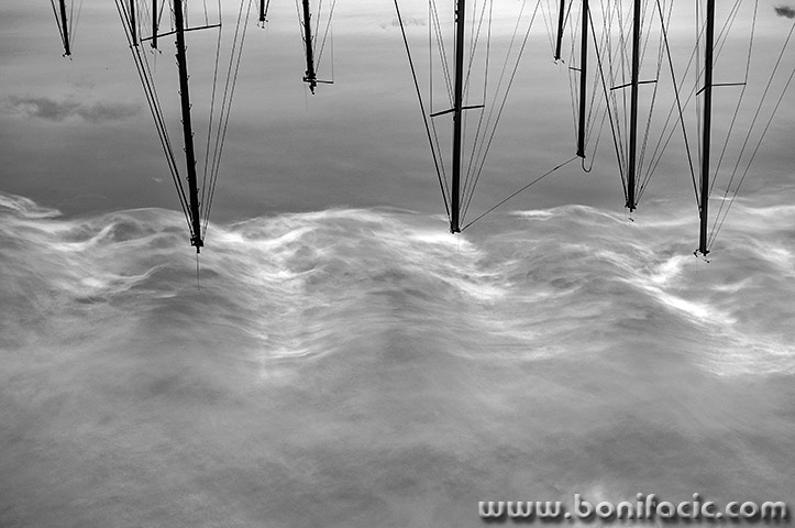 marinajarbolioblacimore1BWmal