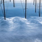 marinajarbolioblacimore1mal