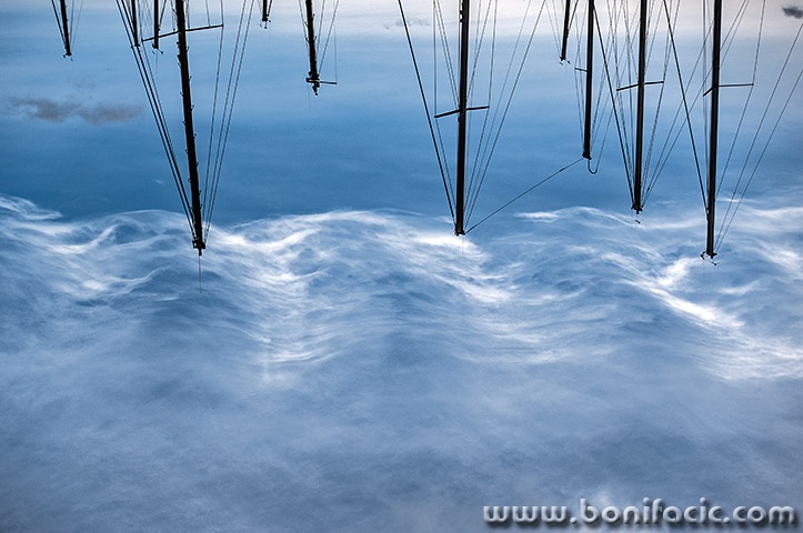 marinajarbolioblacimore1mal