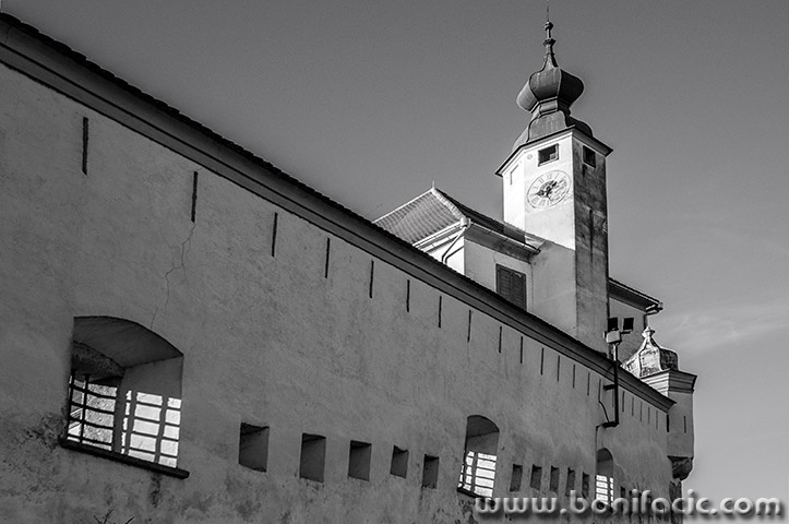 ptuj41mal