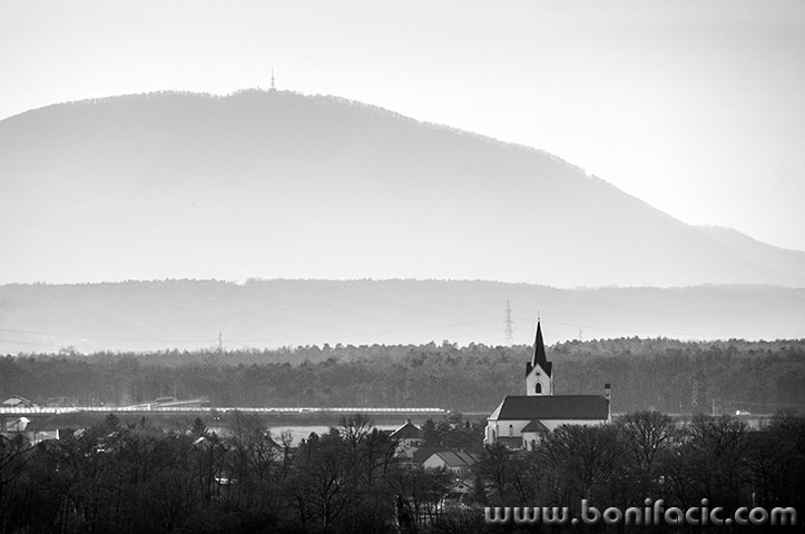 ptuj59mal